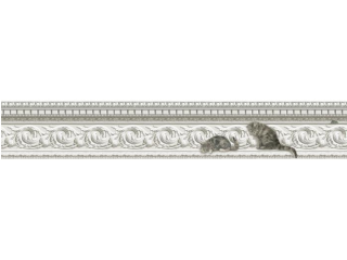 Cole & Son Paddy & Louis Border - 103/6025