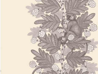 Cole & Son Acacia - 109/11053