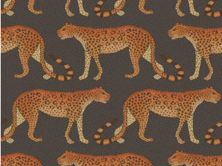 Cole & Son Leopard Walk - 109/2008
