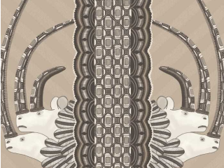 Cole & Son Jabu - 109/3013