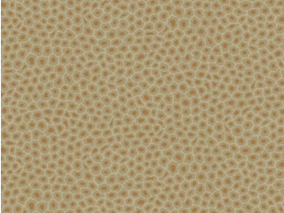 Cole & Son Senzo Spot - 109/6029