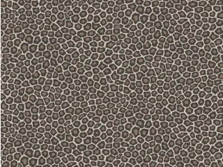 Cole & Son Senzo Spot - 109/6031
