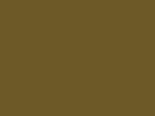 Little Greene Intelligent Gloss - Light Bronze Green 123