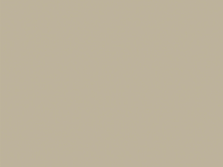 Little Greene Intelligent ASP - Slaked Lime Dark 151