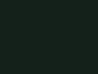 Little Greene - Obsidian Green 216