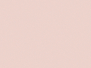 Little Greene - Pink Slip 220