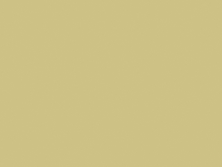 Little Greene Intelligent Exterior Eggshell - Oak Apple 63