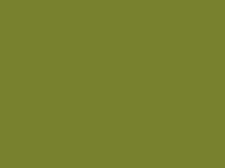 Little Greene Intelligent Exterior Eggshell - Citrine 71