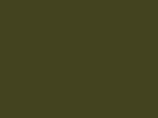 Little Greene Intelligent ASP - Olive Colour 72