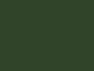 Little Greene - Dark Brunswick Green 88