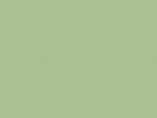 Little Greene Intelligent Exterior Eggshell - Pea Green 91