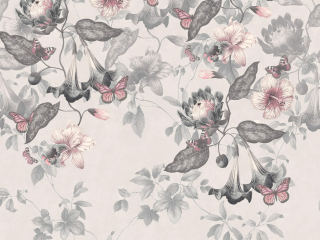 Asterid - Nightshade van Little Greene 