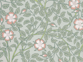 Little Greene Briar Rose - Salix behang met bloemen en bladeren 