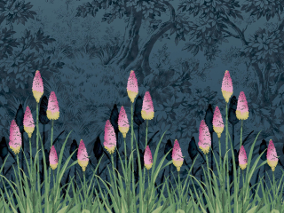 Little Greene Upper Brook Street - Twilight
