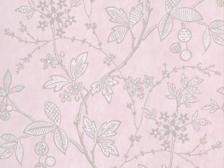 Little Greene Wrest Trail - Pink Plaster
