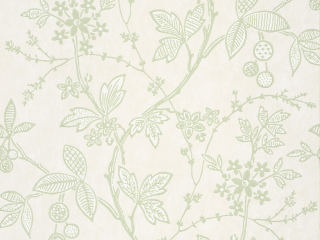 Little Greene Wrest Trail - Shoot