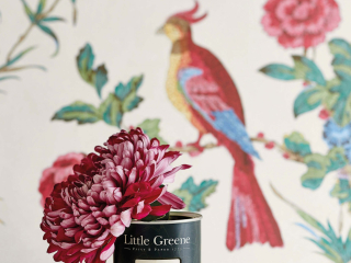 Little Greene Darwin - Serein