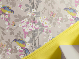 Little Greene Loriini - Dorian