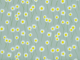 Little Greene Moon Daisies - Celestial Blue