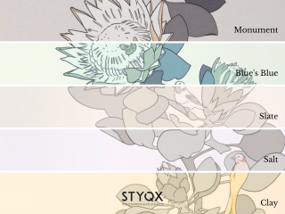 Paint & Paper Library Protea Trail - Slate