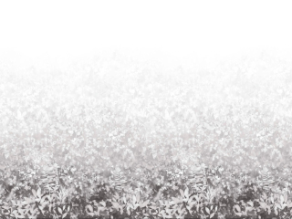 Paint & Paper Library Folia - Perse Grey