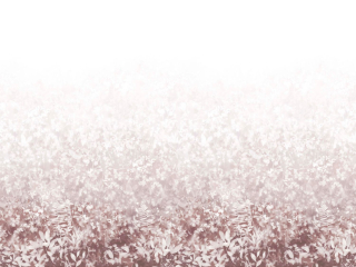 Paint & Paper Library Folia - Plaster