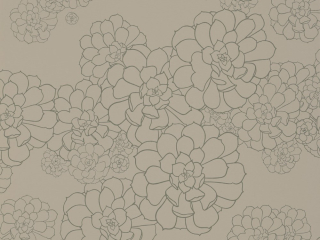 Paint & Paper Library Aeonium - Cotton