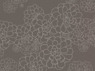 Paint & Paper Library Aeonium - Monument
