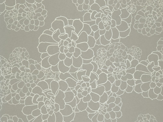 Paint & Paper Library Aeonium - Steel