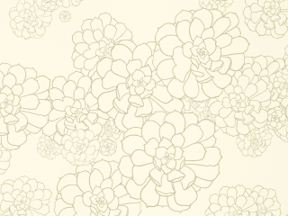 Paint & Paper Library Aeonium - Wattle