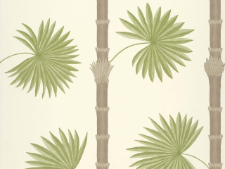 Paint & Paper Library Hardy Palm - Sand III