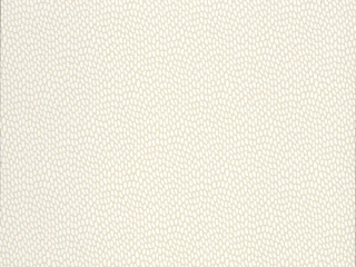 Paint & Paper Library Seedpod - Sand