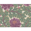 Cole & Son Aurora - 116/1001