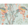 Little Greene Loriini - Jolie