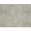 Paint & Paper Library Aeonium - Steel