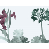 Paint & Paper Library Aloe Walk - Ice