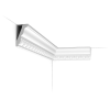 Orac kroonlijst C212