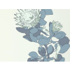 Paint & Paper Library Protea Trail - Blue's Blue