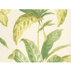 Paint & Paper Library Tropicane - Chelsea Green II