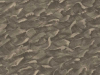 Cole & Son Columbus - 103/13056