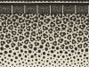 Cole & Son Zulu Border - 109/13061