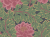 Cole & Son Aurora - 116/1002
