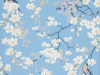 Little Greene Massingberd Blossom - Pale Blue