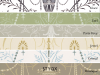 Little Greene Marlborough - Paris Grey