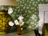 Little Greene Moon Daisies - Garden