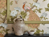 Little Greene Pavona - Gina