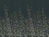 Sandberg Ivy - Midnight Blue