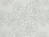Paint & Paper Library Aeonium - Blue Gum