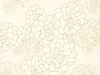 Paint & Paper Library Aeonium - Wattle