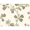 Little Greene Broadwick Street - Garden
